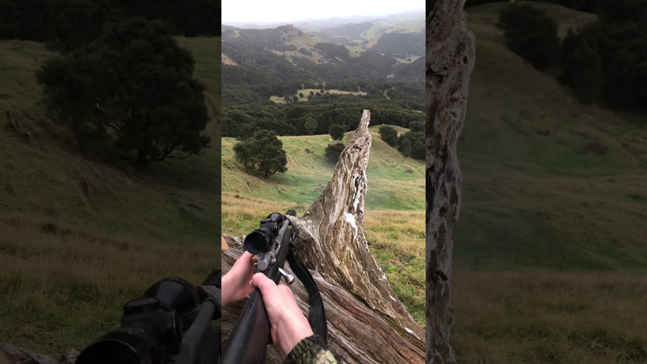 Heart shot on red hind with 270 win