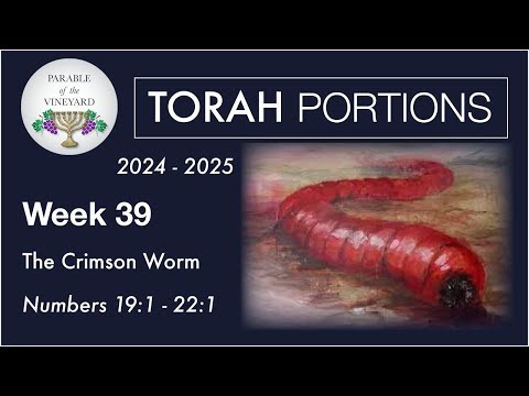 Torah Portion Week