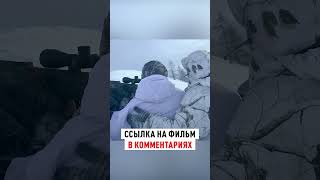 Охота на Чубуку. 🥶 Добираем подранка. #трофейнаяохота