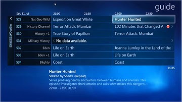 Amulet Devices Voice Remote: TV Guide Help