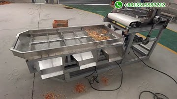 Food Grade Hazelnut Walnut Nuts Chopper Cutting Machine Test Video