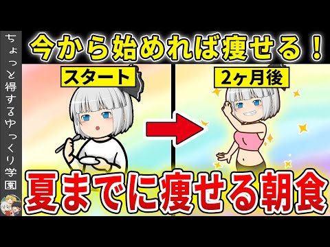 【運動よりもこれ】今から始めれば夏までに痩せる朝食５選【ゆっくり解説】