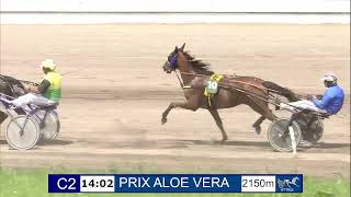 Vidéo de la course PMU PRIX ALOE VERA