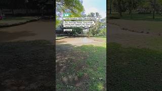 Rezeki yang selalu mengalir deras #shortvideo
