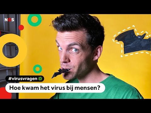 Video: De Noorse Wetenschapper Werpt De Vraag Op Naar De Oorsprong Van Het Virus - Alternatieve Mening