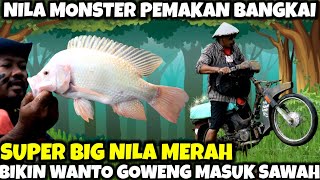 MOTOR SAMPE KEBELAH 2 • IKAN MONSTER PEMBAWA SIAL !!!