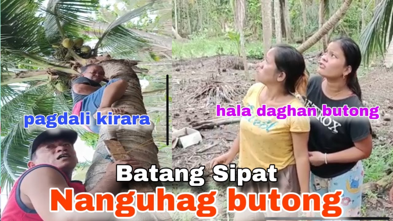 Batang Sipat nanguhag butong sa lubi na tumba