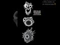 fowleri (the brain-eating amoeba) looks like under an electron microscope.