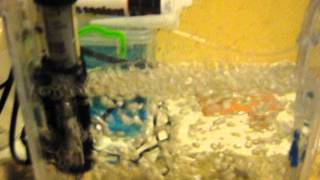 Bubble Etching Tank