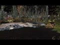 Chaos Skyrim Rogue-Like! Can I beat Alduin?