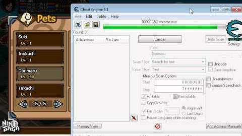 Ninja Saga Pet Name Change hack
