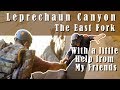 Leprechaun Canyon | North Wash Utah