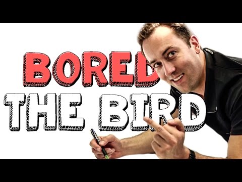 The Bird - Bored Ep 59 | Viva La Dirt League (VLDL)