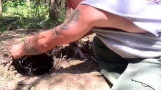 Primitive trapping - no chew out den snare