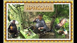 Охота на селезня.Купил МИНИ ПИЛУ!  Построил СТОЛ и ДОМ!!))