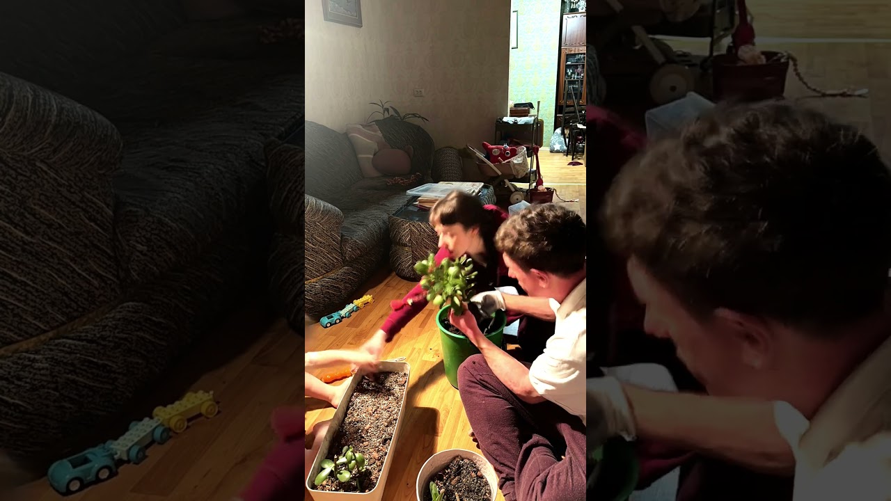 Як змішати ідеальний ґрунт для кімнатних рослин (Покроковий гайд) 🌱