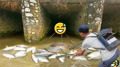 Kích Cá Rô Phi Nước Sâu Trên Sông Đẳng Cấp Có 1 Không 2 Được Toàn Cá Khủng - Kích Cá 25d Chung Đội