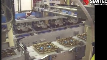 Automated Biscuit Tray Loading - Sewtec Automation