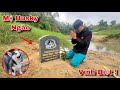 Tin Buồn ! Ngáo Husky Baby Đã Qua Đời Và Ra Đi Mãi Mãi | Tạm Biệt Ngáo | Dương KC