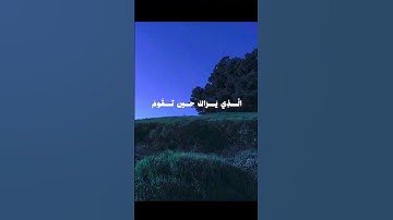 ﴿ وَتَوَكَّلْ عَلَى الْعَزِيزِ الرَّحِيمِ﴾#سورة_الشعراء #بدر_التركي #قران_كريم #قران