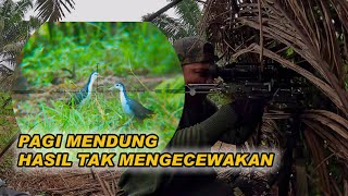Berburu Ruak-Ruak di Pagi Mendung | Hasil Lumayan Meski Cuaca Tak Menentu