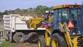 Keeping the Forest Healthy at Point Lobos