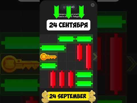 HAMSTER KOMBAT 24