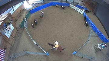Big Sky Ranch Sorting Saddle Series #5 - #9 - Round #1 - Ride #23
