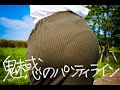 【MV】魅惑のパンティライン-どぶろっく/歌ってみた