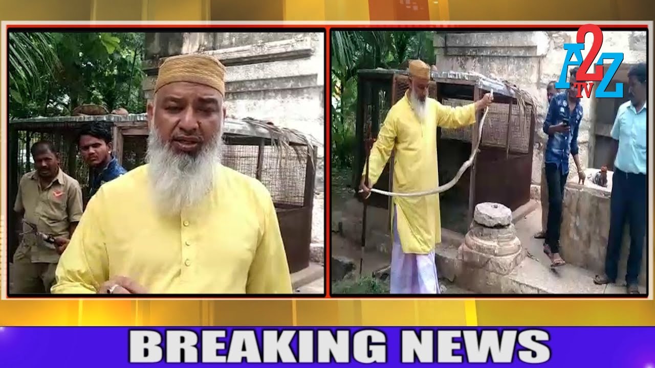 Rat Snake Rescued in Bellary Central Post Office | Sameer Sait | A2Z TV