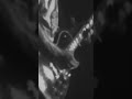 You Got That Right live solo #band #rock #music #rocknroll #classicrock #lynyrdskynyrd #guitar #fyp
