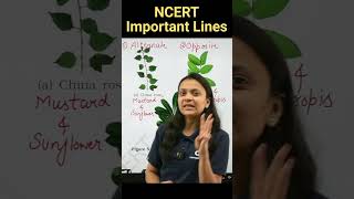 Meaning Of Phyllotaxy  | Revision Biology NEET | NCERT important lines for NEET | #biology