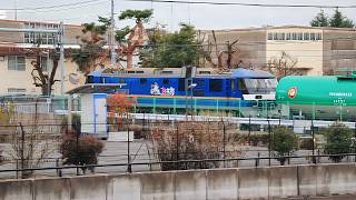 桃太郎EF210-375タキ8876レ・2026/1/20