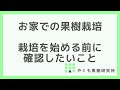 お家での果樹栽培で大切なこと【失敗しないために】