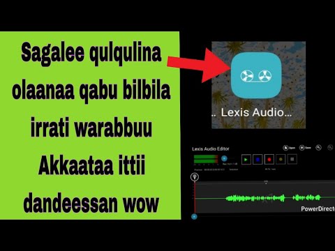 Bilbila Kenya Irrati Sagalee Qulqulina Olaanaa Qabu Warabbuu Akkaataa Ittii Dandeessan Wow Wow