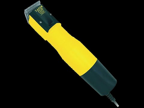 laube lazor clippers