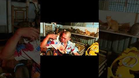 Tụi con xin chào ông bà cô chú tụi con sống an nhiên là nhờ vào những vòng tay nhân ái của ông bà