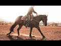 Whiskey glasses | equestrian music video