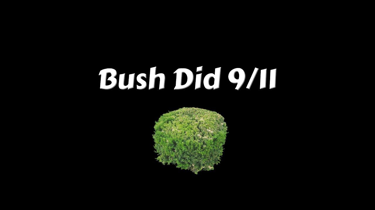 22.11 9. Bush did 9/11. Bush did 9/11 meme. Bush did it. In the Bush.
