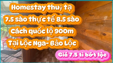 Homestay thuỷ tạ đẹp tại Bảo Lộc🔝7.5 sào thực tế 8.5 sào gần quốc lộ🔝vườn triền đẹp🔝giá chỉ 1tr/ m2