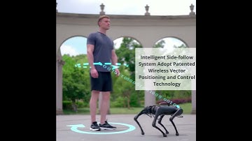 Go1 Edu Robot Dog || Unitree || EdNex LLC