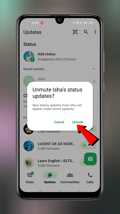 How To Find WhatsApp Mute Status | WhatsApp Mute Status Ko Unmute Kaise Karen #techfrack