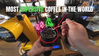 POV: Most expensive coffee in the world