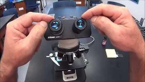 BIOL215 Microbiology Lab 1