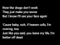 The Verve - The Drugs Don't Work Lyrics