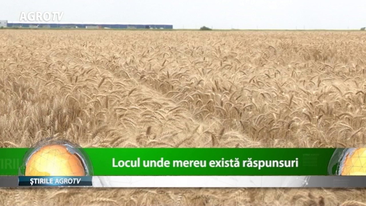 YouTube player
