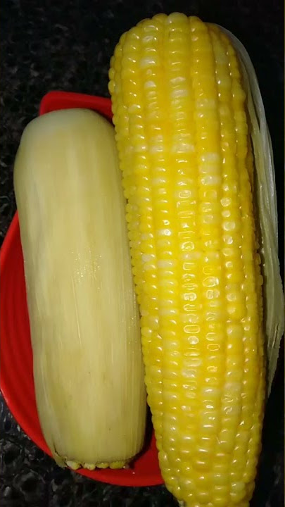 jagung rebus enak & manis..#jagung#jagungrebus