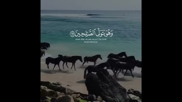 ان ولي الله الذي نزل الكتٰب وهو يتولى الصٰلحين | عبدالرحمن مسعد ، سورة الاعراف تلاوك خاشعة