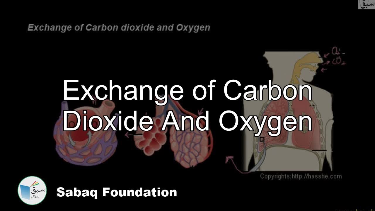 Exchange of Carbon Dioxide And Oxygen, General Science Lecture Sabaq