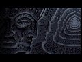 Reality Buffering | Tool Inspired Instrumental